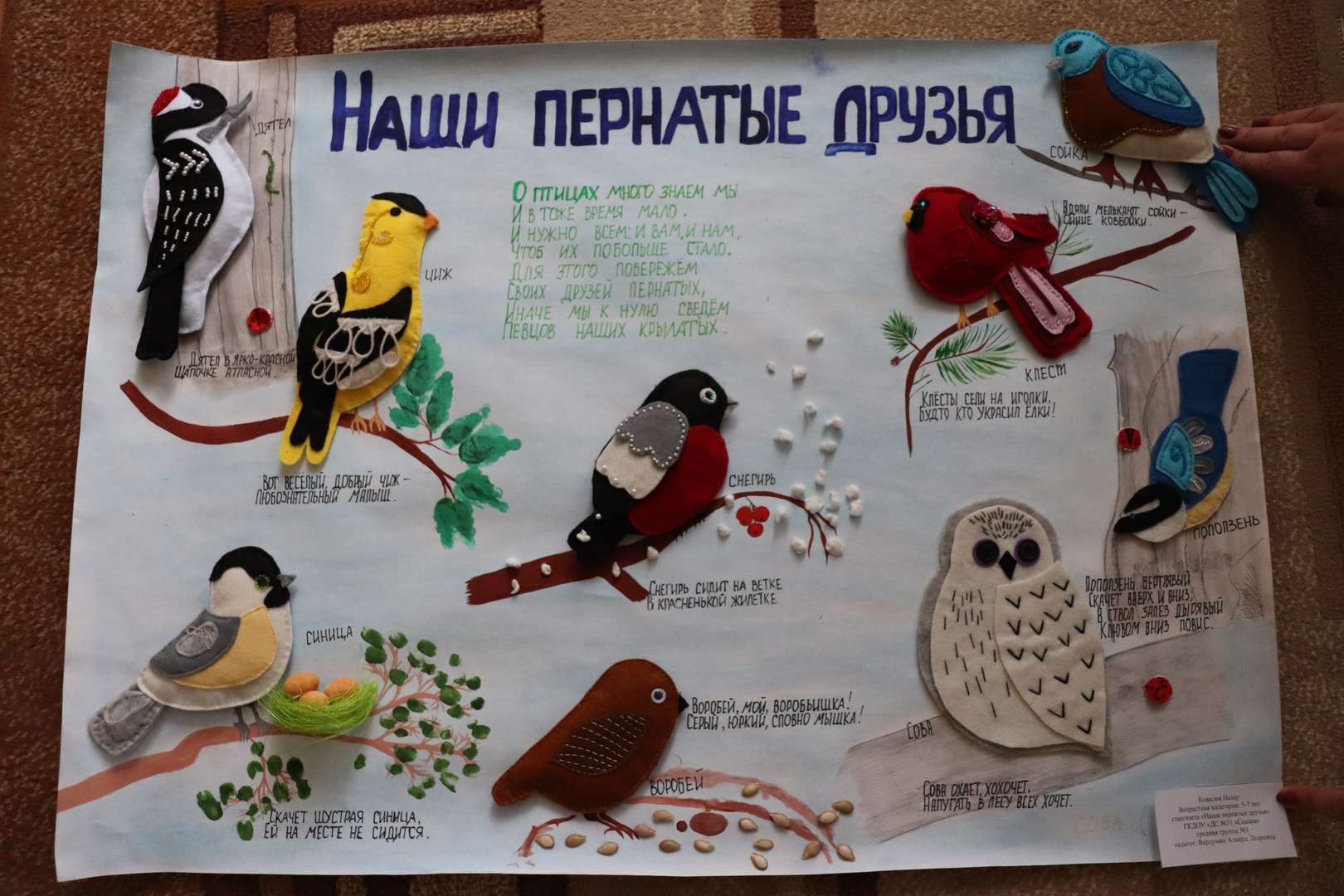 День птиц плакат